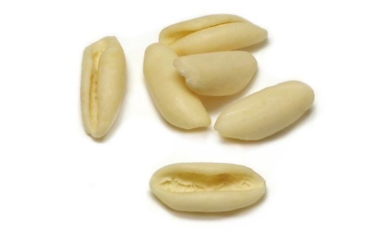 cavatelli
