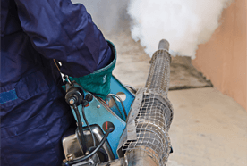 pest control specialists