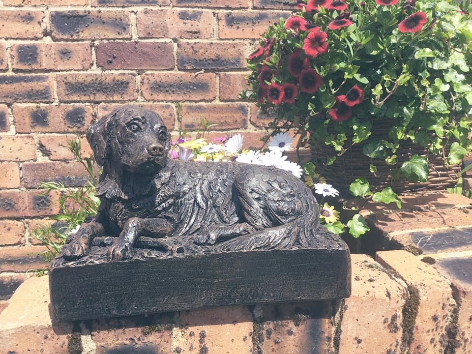 Pet crematorium 1