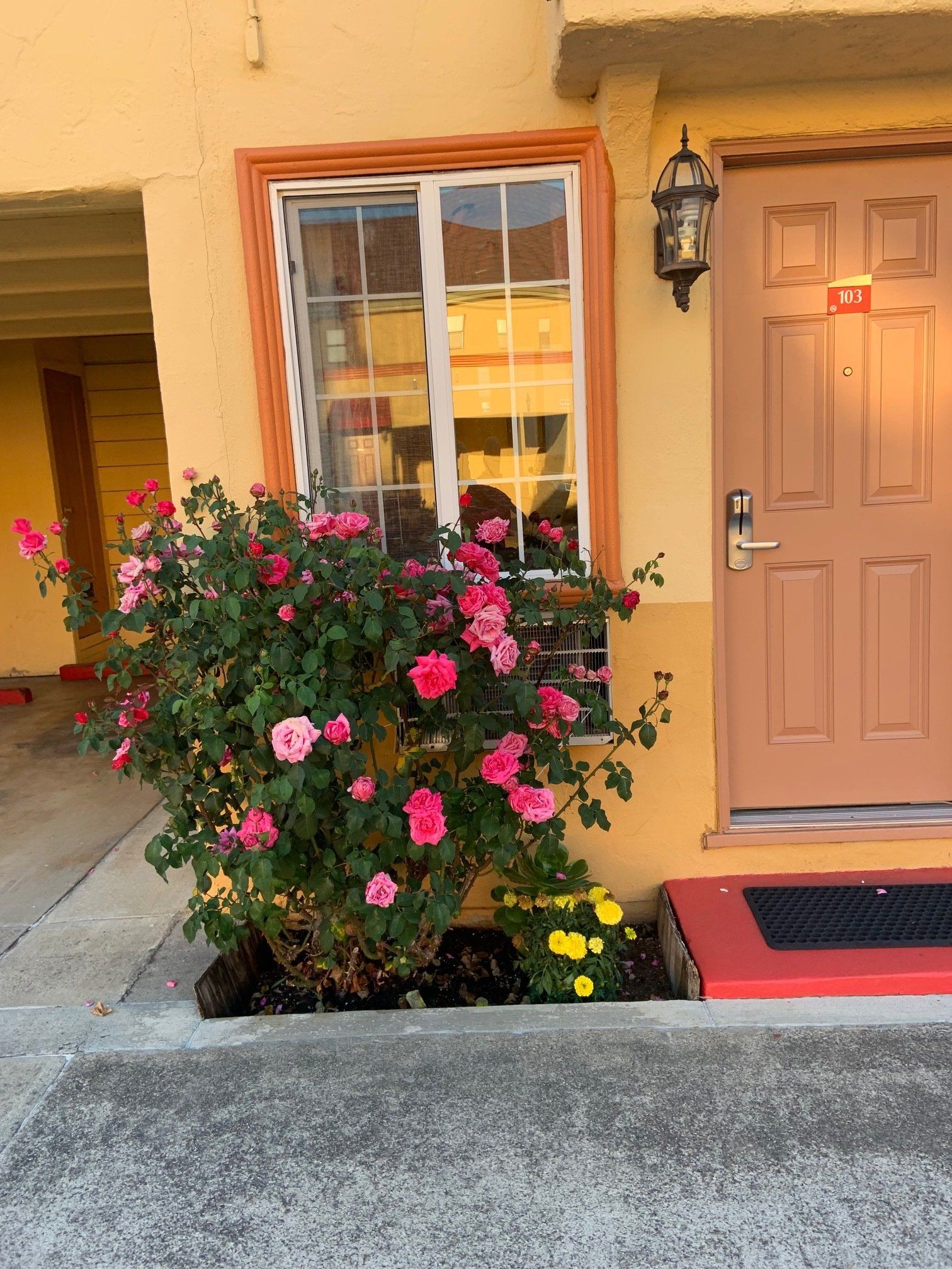 Motel Room with Flowers Outside — Mountain View, CA — Budget Motel
