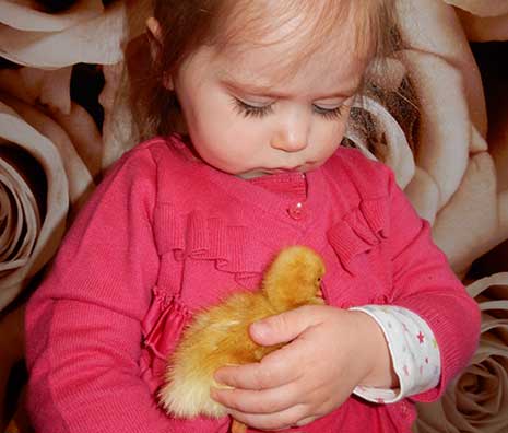 a child playing with the toy