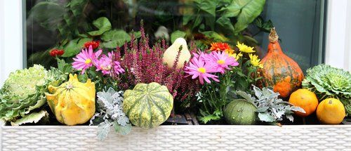 decor