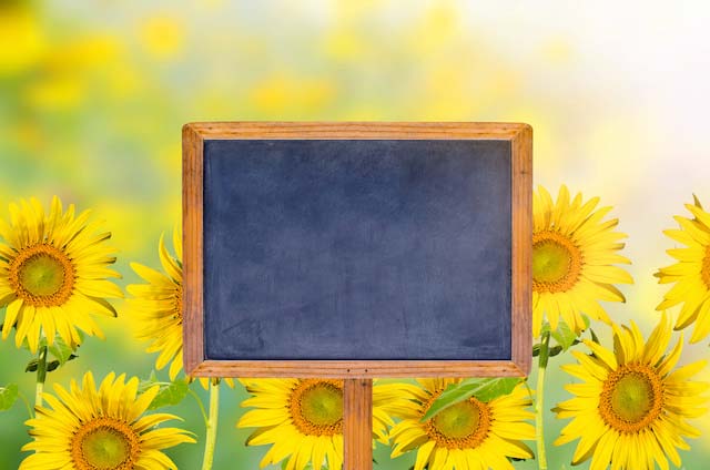 Create An Outdoor Chalkboard Everyone Will Love