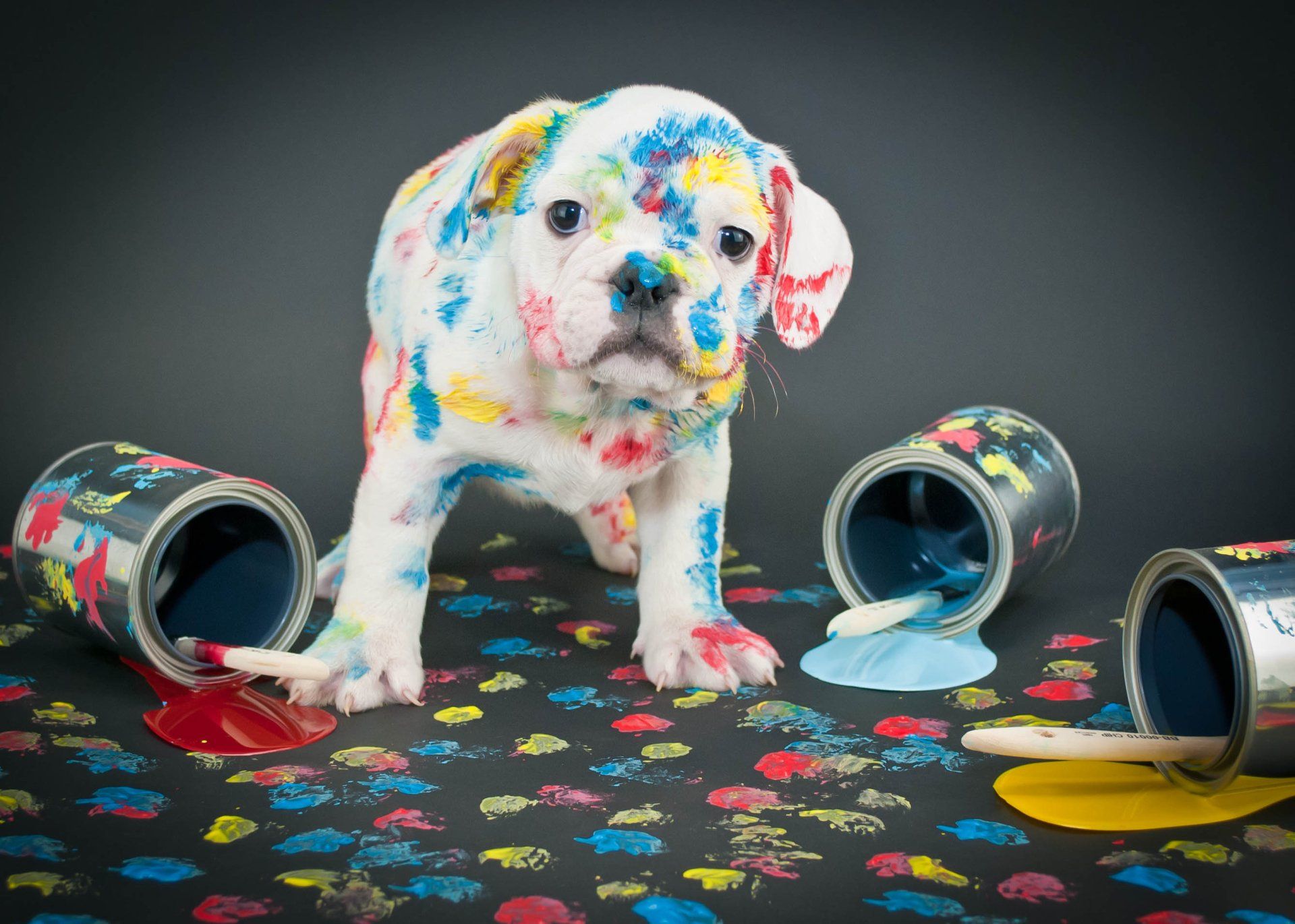 DIY Project Ideas for Leftover Paint