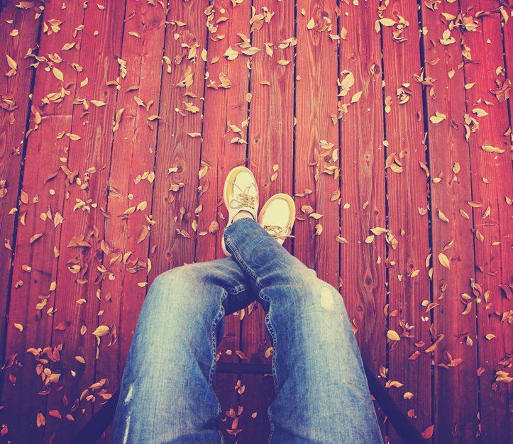 From Fall to Winter