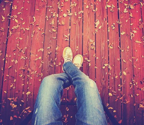 From Fall to Winter