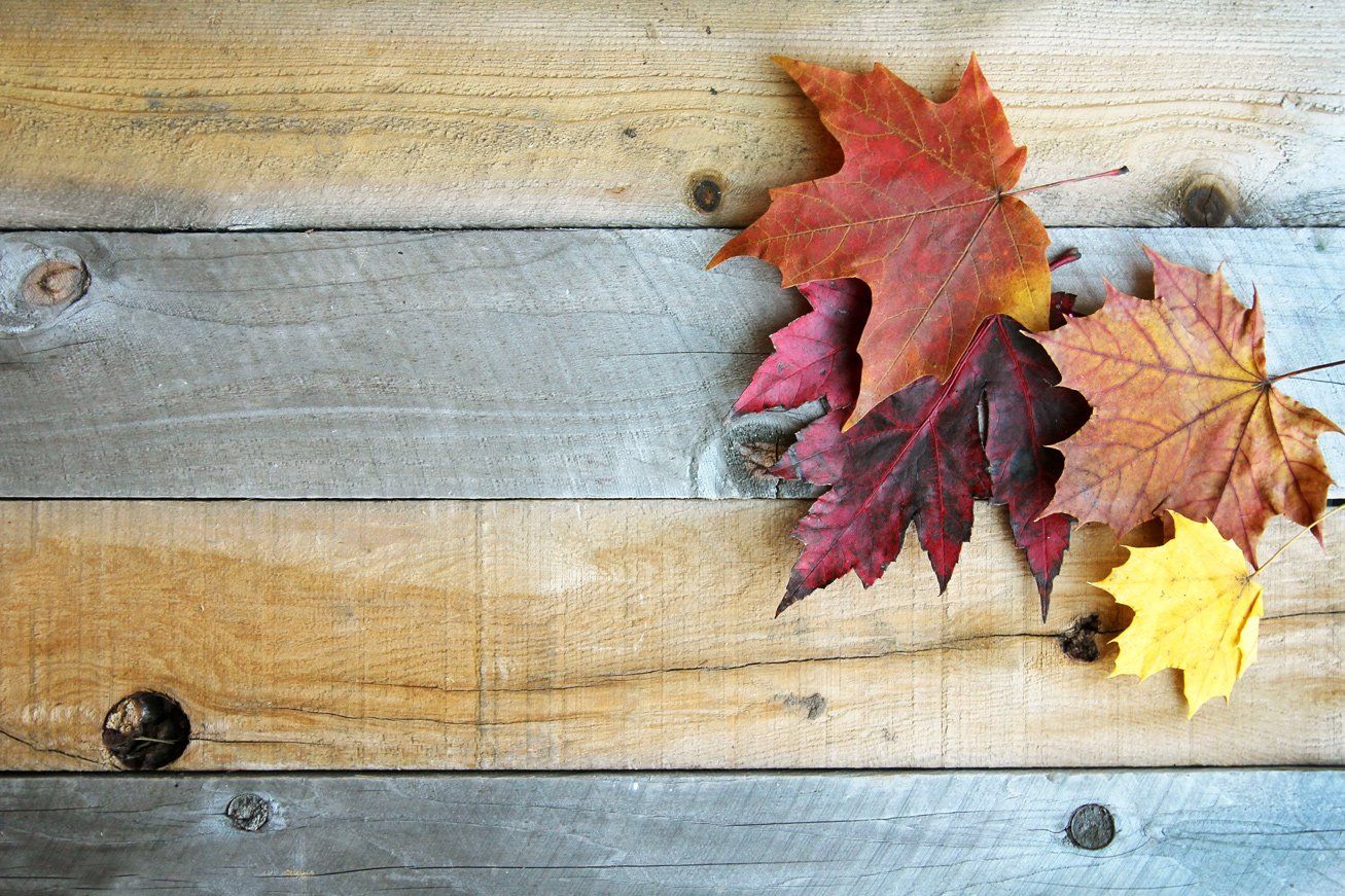 3 Home Decorating Trends You Don’t Want to Miss This Autumn
