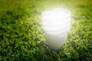 bulb light