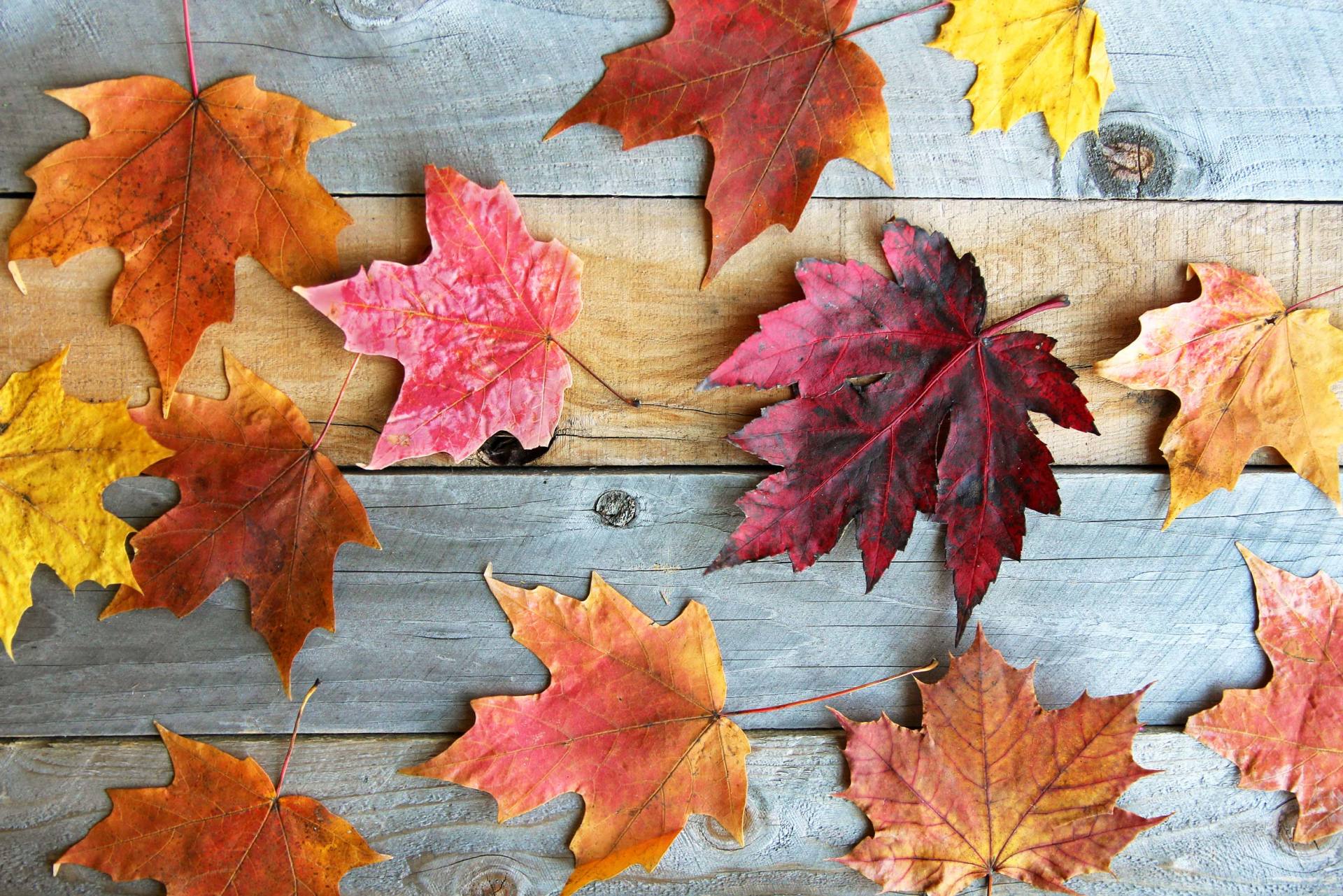 Prepare Your Deck For Fall