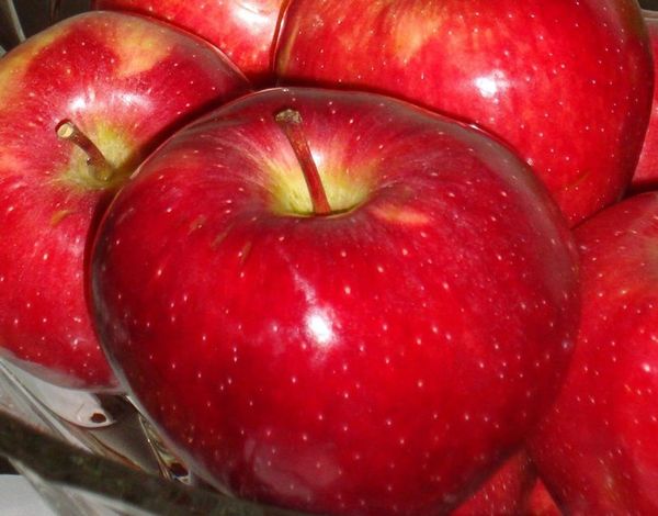 apple
