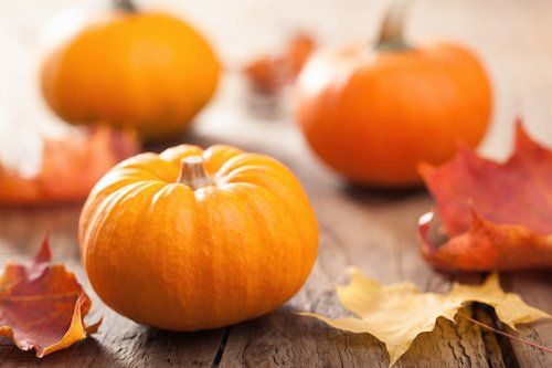 pumpkin