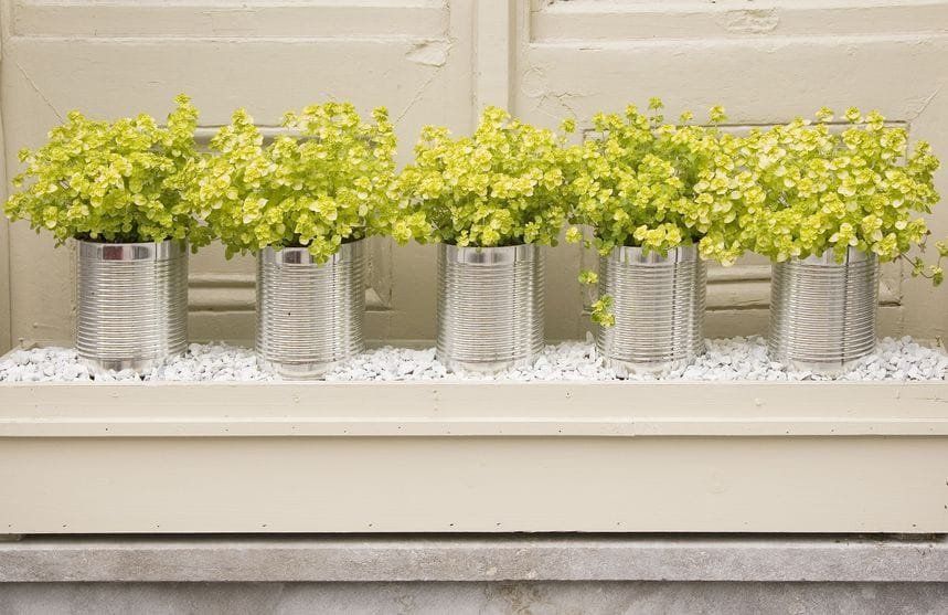 Unique Projects for Your Outdoor Space