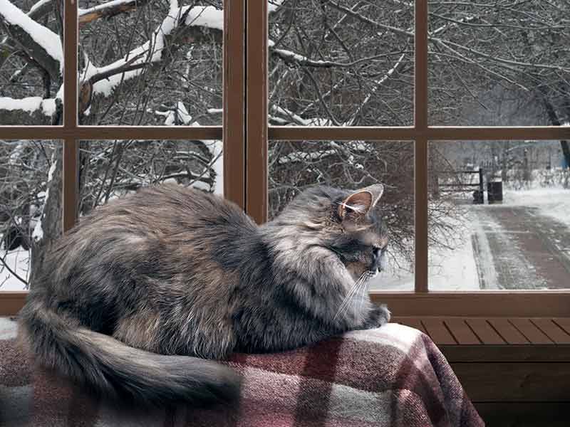 Winter Style To Your Home