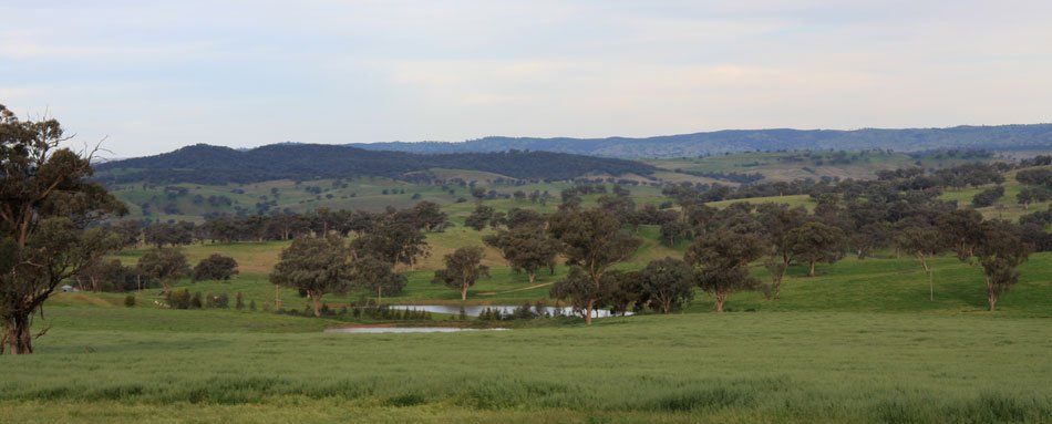 Rural Property Agents