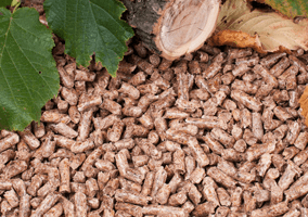 Wood pellets
