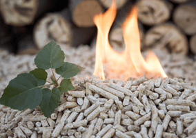Wood pellets