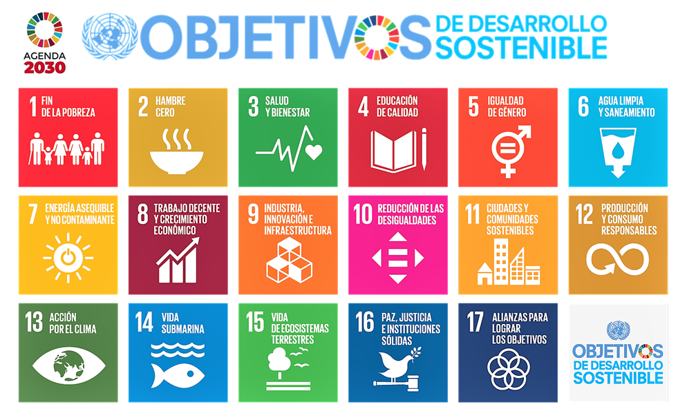 Visitar la web oficial de los ODS de la Agenda 2030 de la ONU