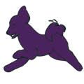 Dog Training Ipswich