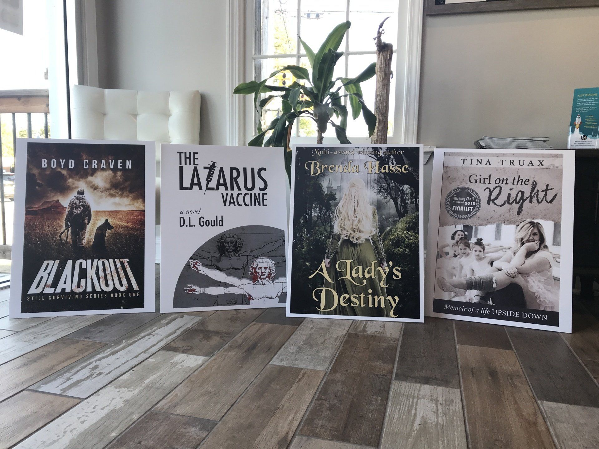 Four books displayed upright on a wooden floor in a bright room, with a plant and windows behind them.