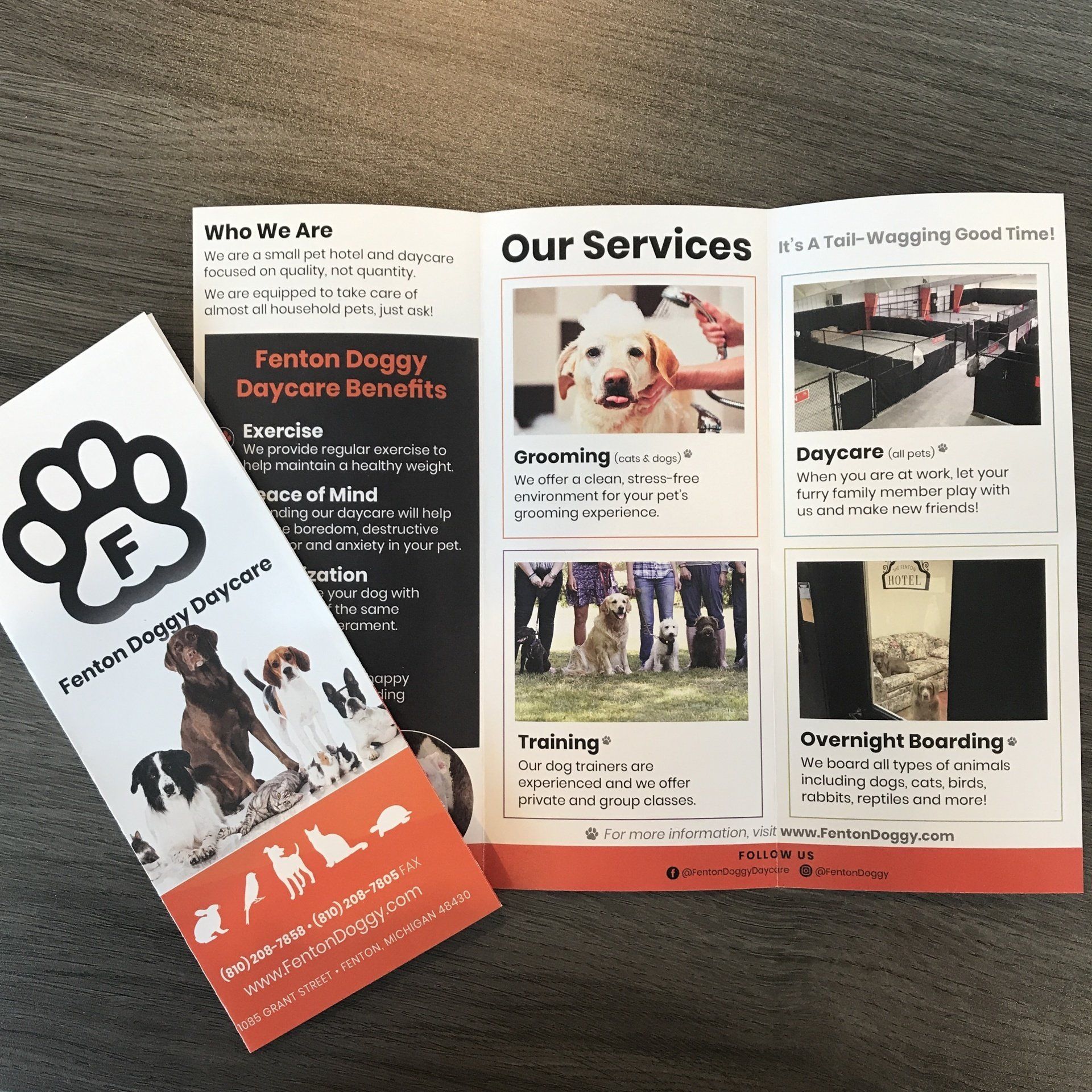A pamphlet for fenton doggy daycare lays on a table