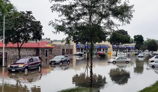 ninja water damage cleanup
