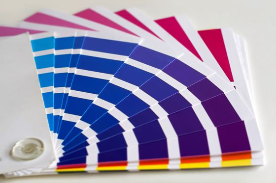 colour swatch