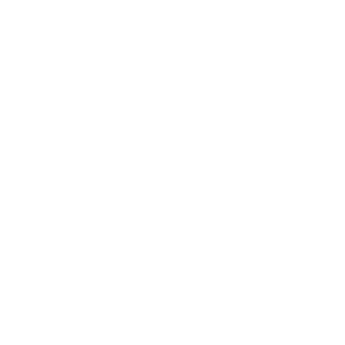 sunflower icon
