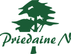 Priedaine N logo