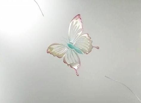 farfalla decorata su vetro