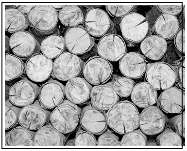 Wood Supplier, Sheffield