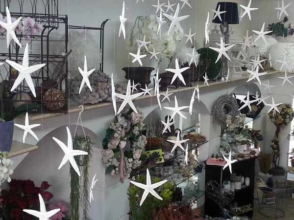 allestimento con luci a forma di stella