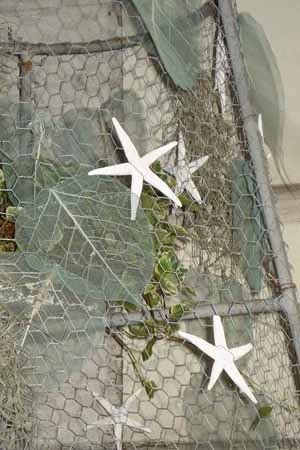 allestimento con stelle marine