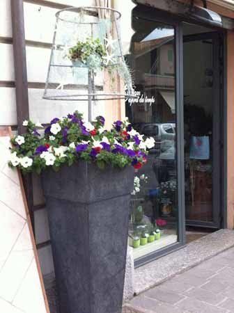vaso con fiori