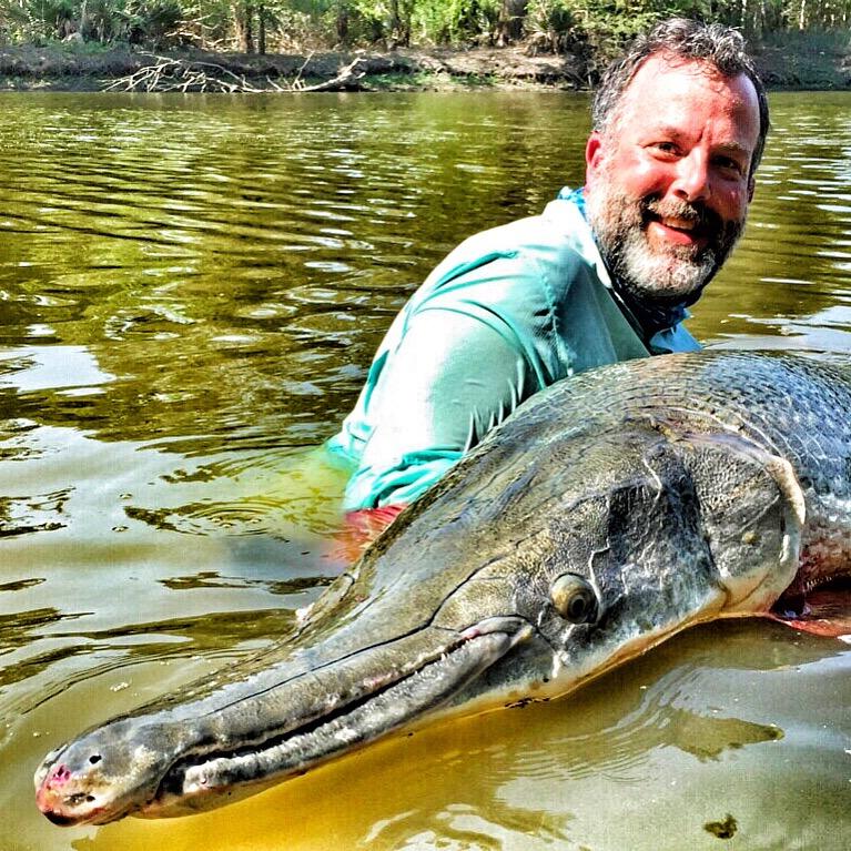 Man in water smiling with a large alligator gar fish.