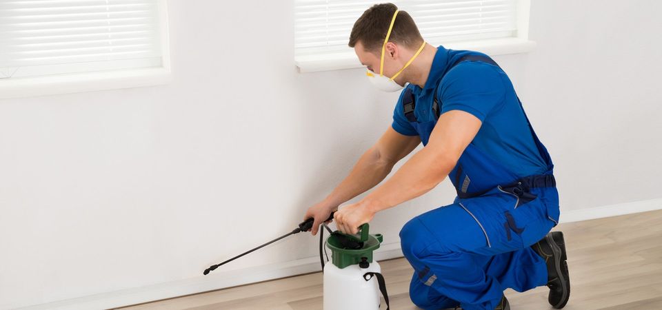 pest control