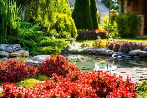 Colorful landscaped garden with red flowers, rocks, and a pond under lush greenery