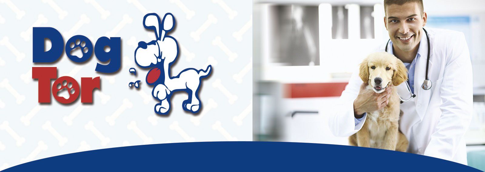 dogtor.cl