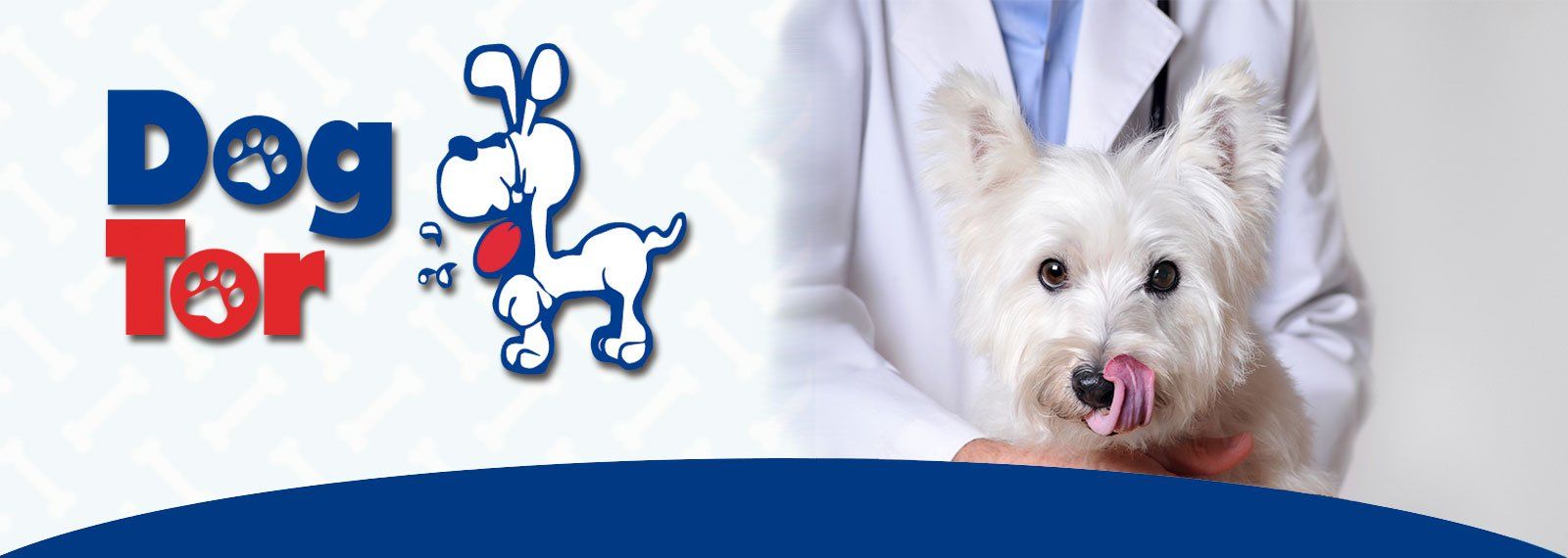 dogtor.cl