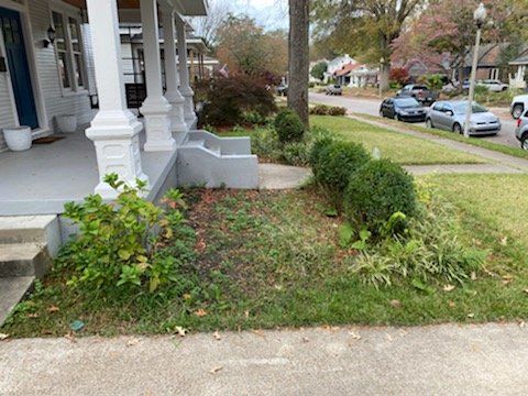 A porch and yard. White house, shrubs and lawn with a sidewalk in front. Cars and trees are in the background.
