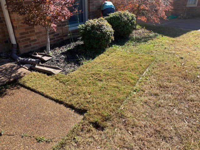 A person works in a yard with brown grass and landscaping. A walkway and building are visible.