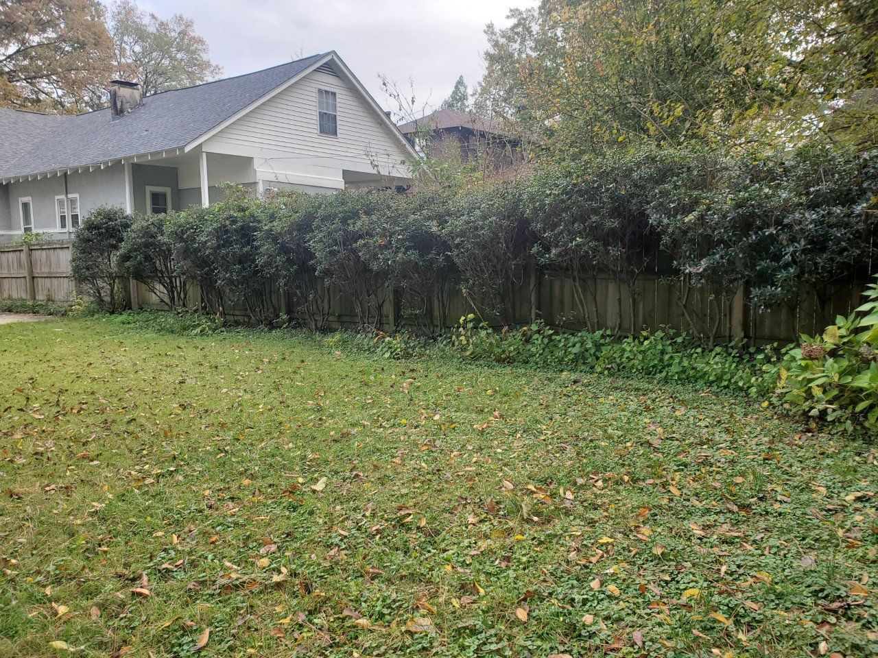 Backyard with a wooden fence, green bushes, and a house in the background.