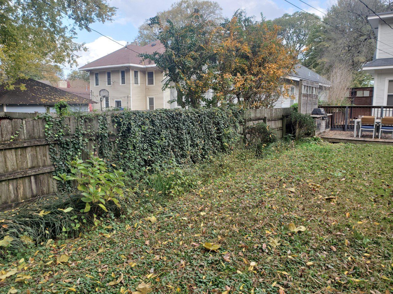 Backyard scene with a wooden fence covered in vines, overgrown grass, and houses in the background.
