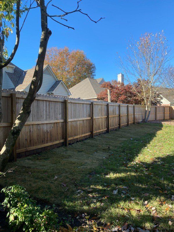 Wooden fence in backyard; green grass and trees. Houses in the background under a blue sky.