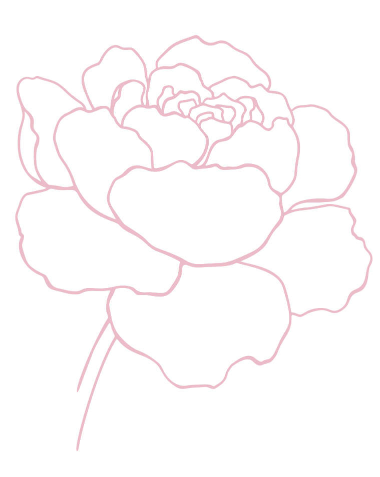 Illustration au trait rose d’une fleur de pivoine