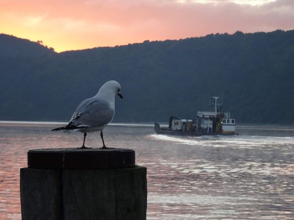Kenny Barging Ltd Picton, Marlborough, NZ