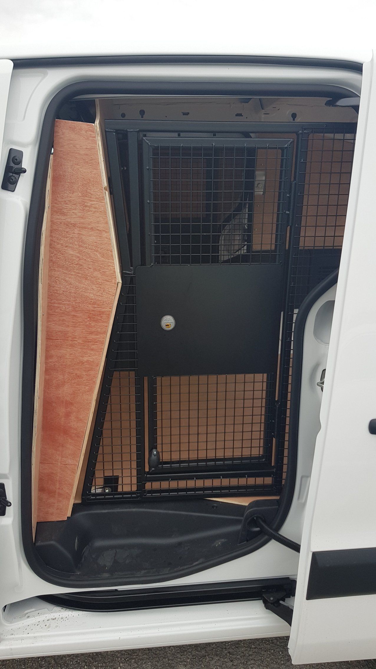 Vehicle security 1