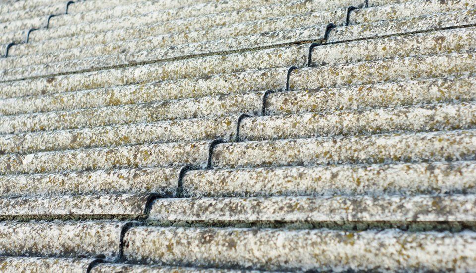 asbestos removal services