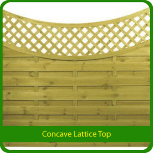 Lattice top