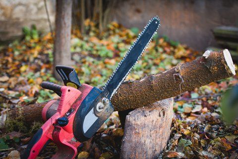 A Chainsaw — Tampa, FL — A Baker's Tree Service A Chainsaw — Tampa, FL — A Baker's Tree Service