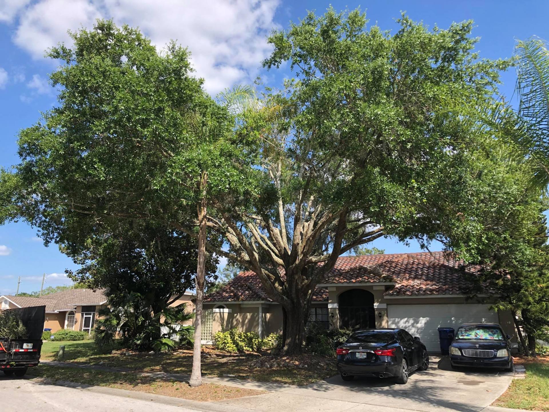 A Tree In Front Of A House — Tampa, FL — A Baker's Tree Service